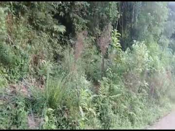 Terreno Residencial à venda em Colônia Alpina, Teresópolis - RJ