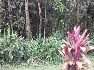 Terreno Residencial à venda em Comary, Teresópolis - RJ