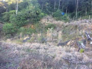 Terreno Residencial à venda em Parque do Ingá, Teresópolis - RJ