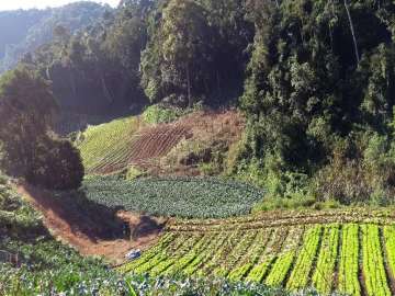 Fazenda / Sítio à venda em Serra do Capim, Teresópolis - RJ