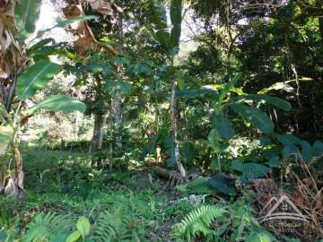 Terreno Residencial à venda  em Santo Aleixo, Rio de Janeiro - RJ