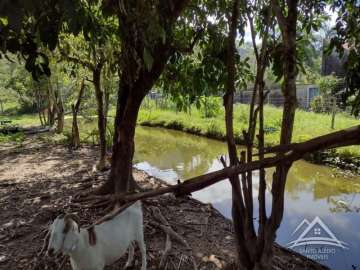 Fazenda / Sítio à venda em Santo Aleixo, Rio de Janeiro - RJ