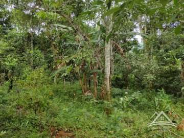 Terreno Residencial à venda em Santo Aleixo, Rio de Janeiro - RJ