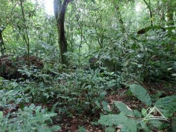 Terreno Residencial à venda em Centro, Rio de Janeiro - RJ