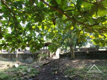 Fazenda / Sítio à venda em Santo Aleixo, Rio de Janeiro - RJ