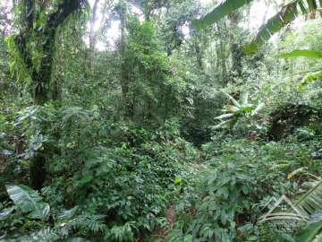 Terreno Residencial à venda em Centro, Rio de Janeiro - RJ