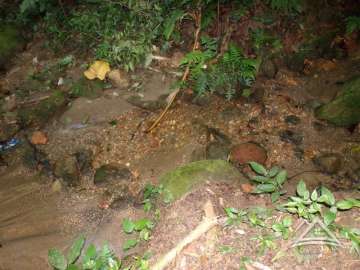 Terreno Residencial à venda em Santo Aleixo, Rio de Janeiro - RJ