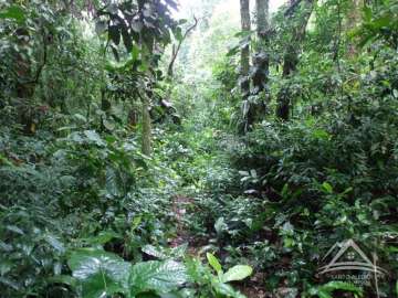 Terreno Residencial à venda em Santo Aleixo, Rio de Janeiro - RJ