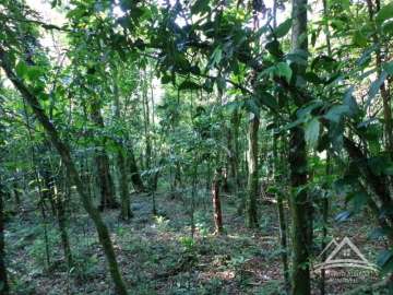 Terreno Residencial à venda em Santo Aleixo, Rio de Janeiro - RJ