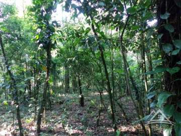 Terreno Residencial à venda em Santo Aleixo, Rio de Janeiro - RJ
