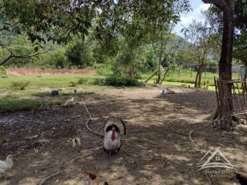 Terreno Residencial à venda em Santo Aleixo, Rio de Janeiro - RJ