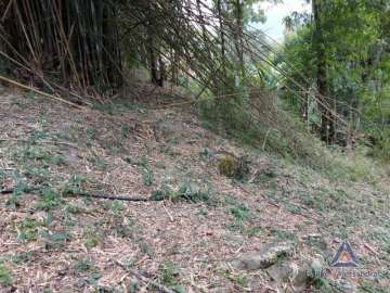 Terreno Residencial à venda em Itaipava, Petrópolis - RJ