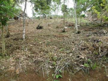 Terreno Residencial à venda em Vargem Grande, Teresópolis - RJ