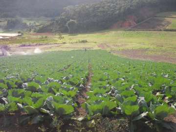 Fazenda / Sítio à venda em Vieira, Teresópolis - RJ