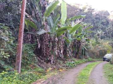 Terreno Residencial à venda em Fazenda Boa Fé, Teresópolis - RJ