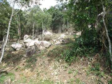 Terreno Residencial à venda em Samambaia, Petrópolis - RJ
