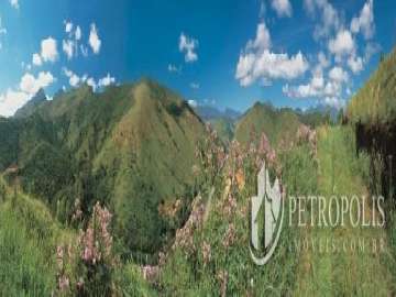 Terreno Residencial à venda em Pedro do Rio, Petrópolis - RJ