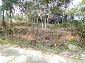 Terreno Residencial à venda em Prata, Teresópolis - RJ