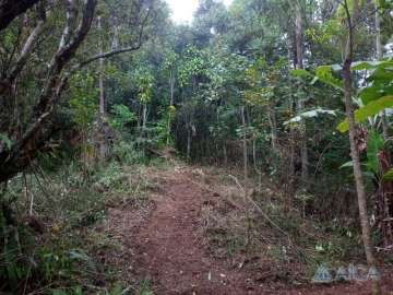 Terreno Comercial à venda em Morin, Petrópolis - RJ