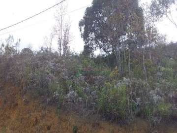Terreno Residencial à venda em Albuquerque, Teresópolis - RJ
