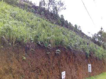 Terreno Residencial à venda em Albuquerque, Teresópolis - RJ