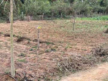 Terreno Residencial à venda em Granja Mafra, Teresópolis - RJ