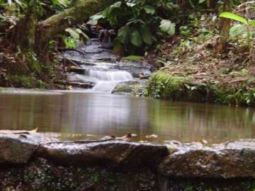 Imóvel Comercial à venda em Albuquerque, Teresópolis - RJ