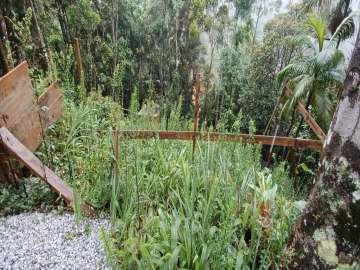 Terreno Residencial à venda em Carlos Guinle, Teresópolis - RJ