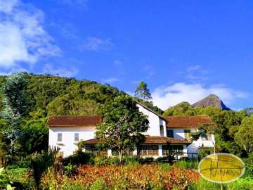 Fazenda / Sítio à venda em Vale das Videiras, Rio de Janeiro - RJ