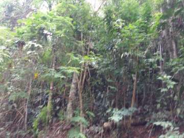 Terreno Residencial à venda em Fazenda Boa Fé, Teresópolis - RJ