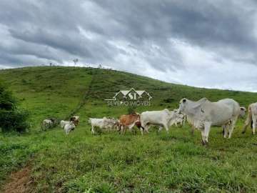 Fazenda / Sítio à venda em Centro, Paraíba do Sul - RJ