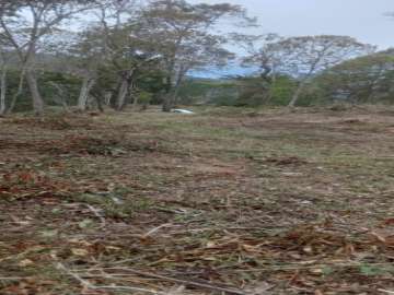 Terreno Residencial à venda em Parque do Imbui, Teresópolis - RJ