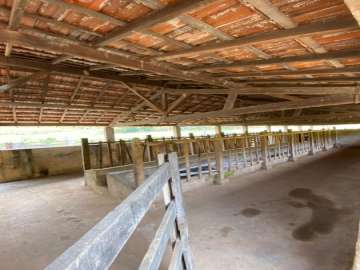 Fazenda / Sítio à venda em Limoeiro, Paraíba do Sul - RJ