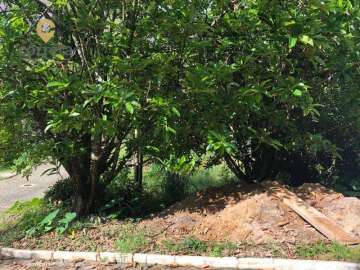 Terreno Residencial à venda em Cônego, Nova Friburgo - RJ