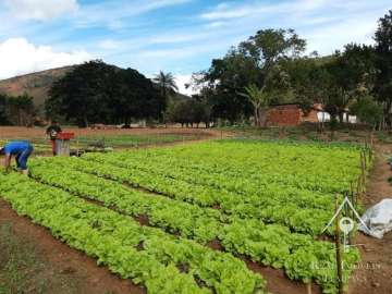 Fazenda / Sítio à venda em Centro, Paraíba do Sul - RJ
