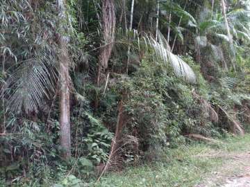 Terreno Residencial à venda em Fazenda Boa Fé, Teresópolis - RJ