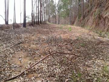 Terreno Residencial à venda em Itaipava, Petrópolis - RJ