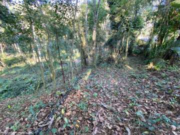 Terreno Residencial à venda em Prata dos Aredes, Teresópolis - RJ