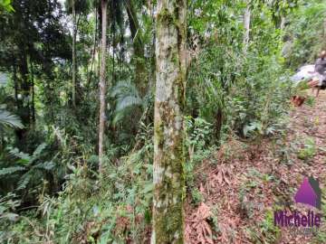 Terreno Residencial à venda em Prata, Teresópolis - RJ