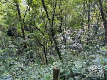 Terreno Residencial à venda em Itaipava, Petrópolis - RJ