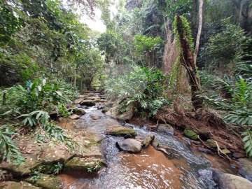 Fazenda / Sítio à venda em Vale das Videiras, Petrópolis - RJ