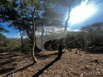 Terreno Residencial à venda em Itaipava, Petrópolis - RJ