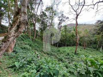 Terreno Residencial à venda em Pedro do Rio, Petrópolis - RJ