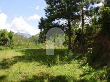 Terreno Residencial à venda em Itaipava, Petrópolis - RJ