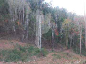 Terreno Residencial à venda em Secretário, Petrópolis - RJ