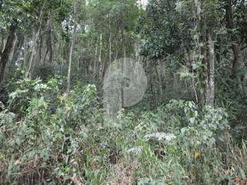 Terreno Residencial à venda em Pedro do Rio, Petrópolis - RJ