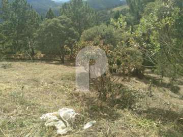 Terreno Residencial à venda em Pedro do Rio, Petrópolis - RJ