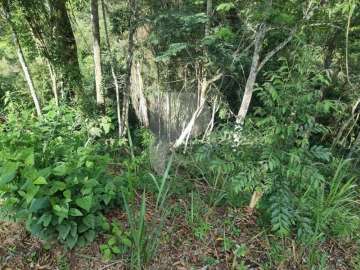 Terreno Residencial à venda em Nogueira, Petrópolis - RJ