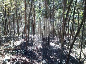 Terreno Residencial à venda em Itaipava, Petrópolis - RJ