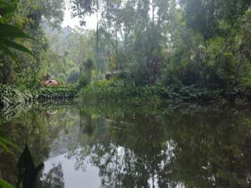 Fazenda / Sítio à venda em Duarte da Silveira, Petrópolis - RJ